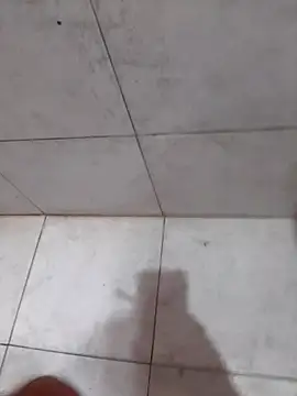 Parejahot534 online show from 04-16-26, 06:19