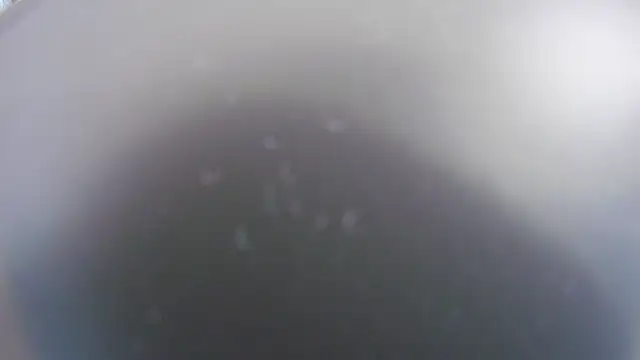 Noah Greenhart online show from 01-15-26, 07:39