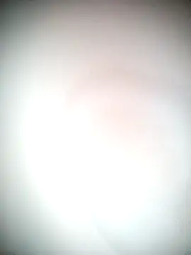 Ariana101 online show from 11-24-25, 12:05