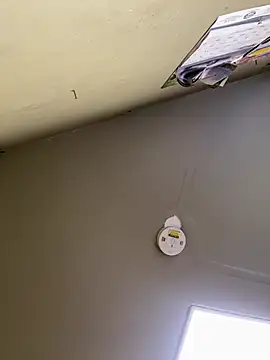 24denio online show from 03-07-26, 01:52