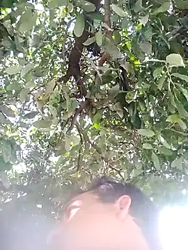 nori dunda online show from 12-17-25, 06:47