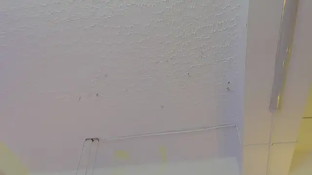 Snapshot of pucca7 chatting on 05-13-26, 12:13 pucca7 online show from 05-13-26, 12:13