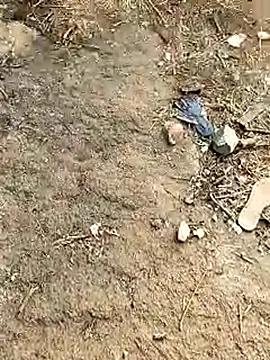 Snapshot of Meow_buggie chatting on 01-13-26, 10:42 Meow buggie online show from 01-13-26, 10:42