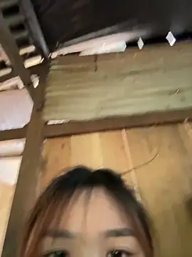 Spring-spring online show from 11-24-25, 05:40