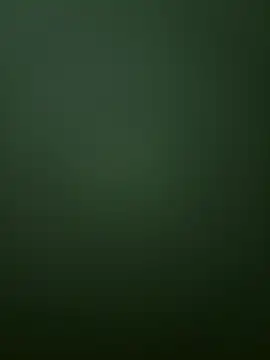 Spring-spring online show from 12-01-25, 12:54