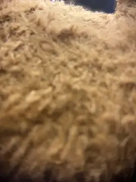 valeryfox   online show from 03-18-26, 10:57