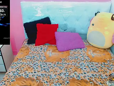 xwetdreamsx online show from 01-08-26, 11:29