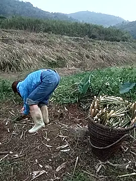 nangmo online show from 03-18-26, 11:13