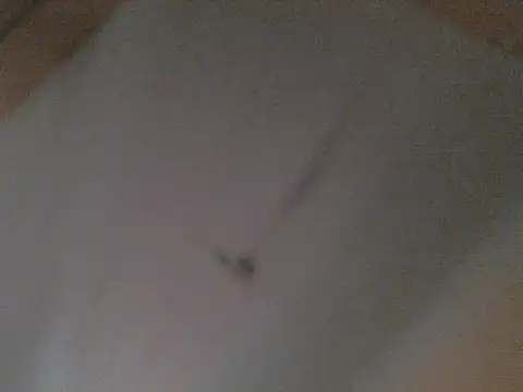 Snapshot of BellahG90 chatting on 11-22-25, 01:54 BellahG90 online show from 11-22-25, 01:54