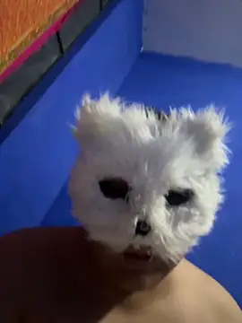 aricub online show from 12-16-25, 12:59