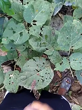 desi alpha boy online show from 01-17-26, 01:54