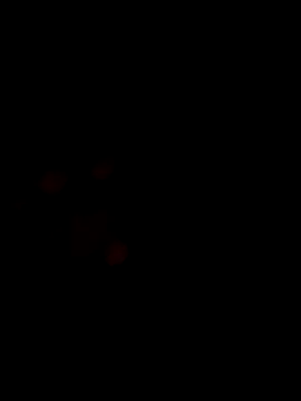 Snapshot of soubi777 chatting on 12-02-25, 05:57 soubi777 online show from 12-02-25, 05:57