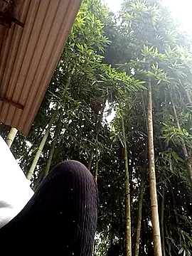 hey-bana online show from 12-17-25, 03:34