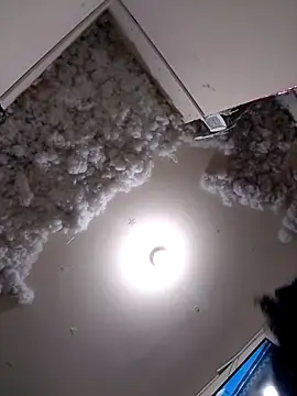 4ikoou37 online show from 11-26-25, 10:44