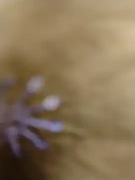 RASHMI SHARMA9 online show from 02-16-26, 03:57