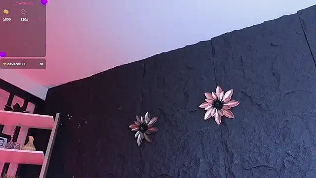 Paulo 527 online show from 01-06-26, 09:29