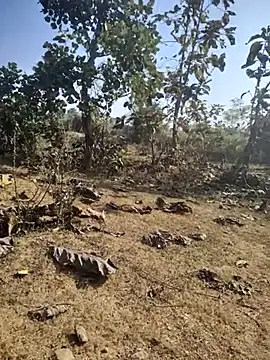 88zaifkhan88 online show from 01-07-26, 04:48