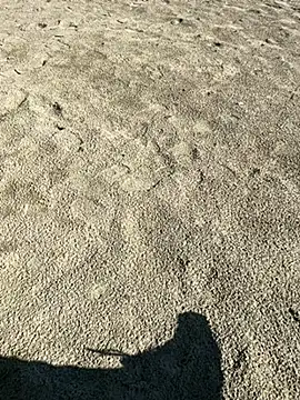 ratemydickbabe online show from 12-01-25, 09:36