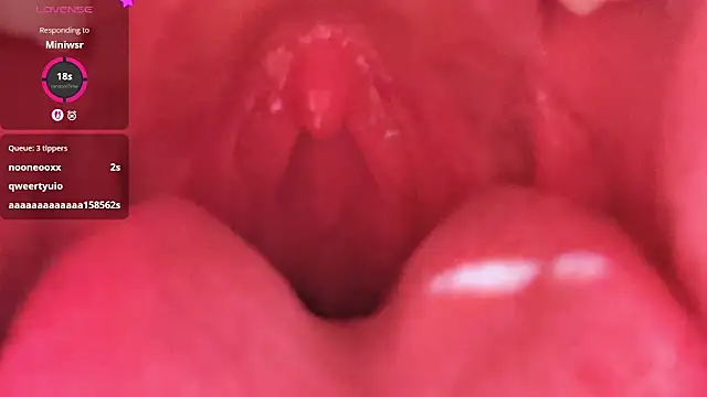 LT-333 online show from 02-26-26, 05:23