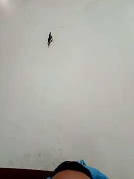 big16cmx online show from 11-26-25, 05:58