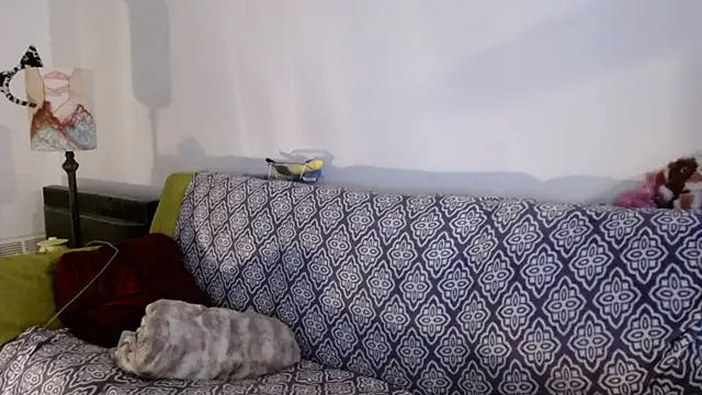 DeliaBlew online show from 12-04-25, 03:10