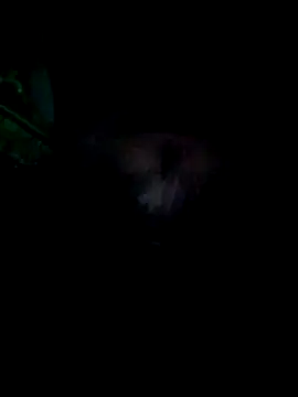 KF hway online show from 03-25-26, 11:11