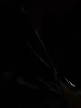 hot8veera online show from 12-02-25, 12:32