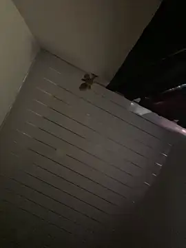 Carameloswing1 online show from 03-19-26, 10:14