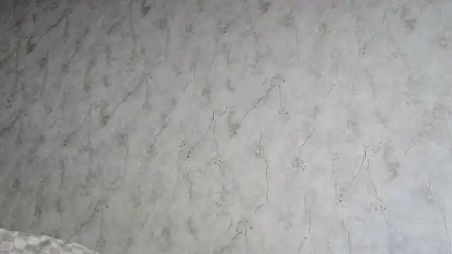 AliceWonderLure online show from 12-03-25, 09:18