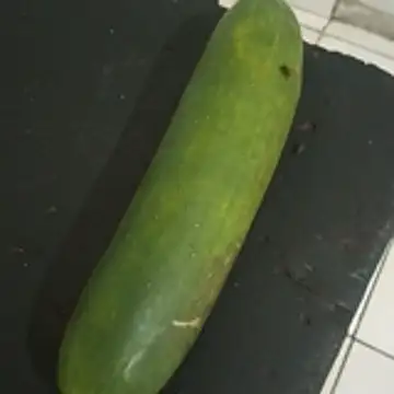  - -lu - online show from 12-05-25, 10:57