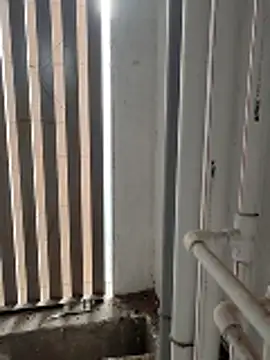 boyfromMum bai online show from 01-16-26, 02:48