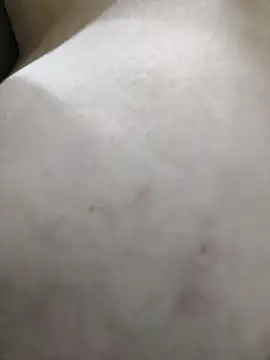 palomitka online show from 02-11-26, 05:45