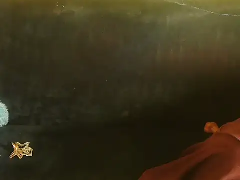 Bristi 03 online show from 06-15-26, 01:02