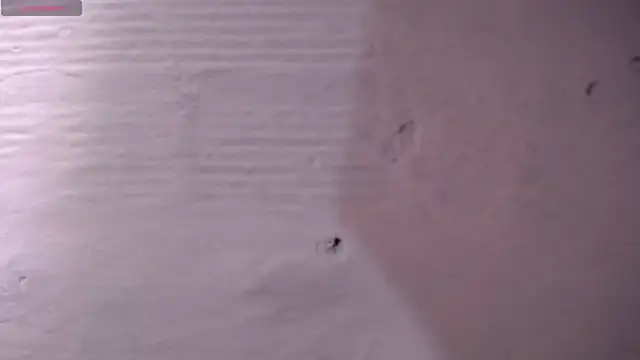 danycute  online show from 07-26-26, 02:57