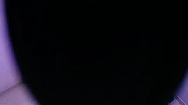 Snapshot of Sofia_tgn chatting on 06-08-26, 06:41 Sofia tgn online show from 06-08-26, 06:41