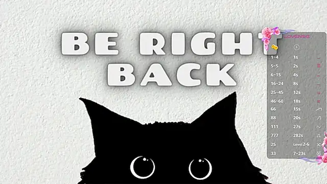 StacieLaudadio online show from 12-14-25, 02:11