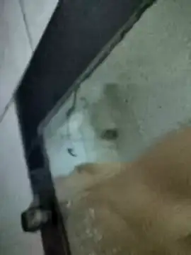 Amoooooun online show from 01-15-26, 07:13