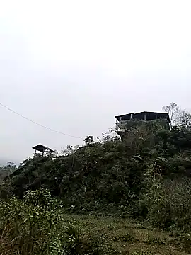 neko-nancy online show from 01-07-26, 07:55