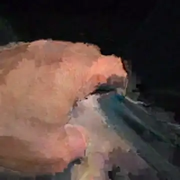 Snapshot of abmelken chatting on 04-15-26, 11:17 abmelken online show from 04-15-26, 11:17
