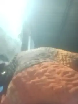 Snapshot of Pinki_rajak chatting on 01-11-26, 07:08 Pinki rajak online show from 01-11-26, 07:08