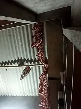 Shreya pandit online show from 03-10-26, 10:59