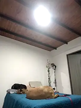 Perfect match19 online show from 12-22-25, 11:24