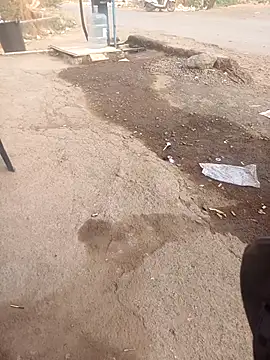 punecouplegroup online show from 04-25-26, 01:52