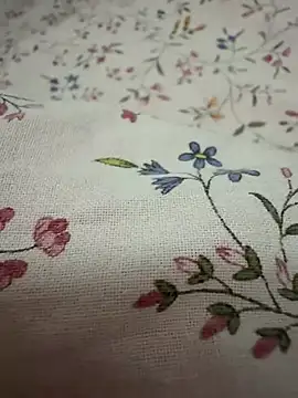 rebyreby11 online show from 04-01-26, 04:59