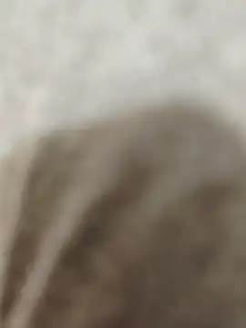 Indian groupxxx online show from 12-16-25, 04:56