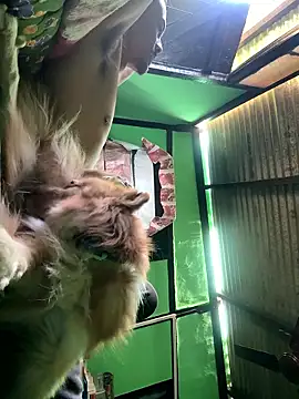 Fixvyusv online show from 01-12-26, 05:12