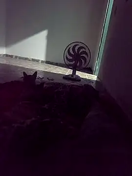 WPS15 online show from 04-15-26, 11:27