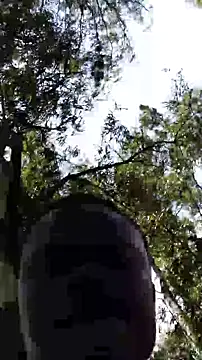 Snapshot of TheVersCouple chatting on 01-15-26, 11:26 TheVersCouple online show from 01-15-26, 11:26