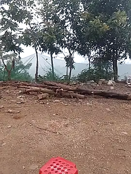 Menlike69 online show from 01-15-26, 01:43