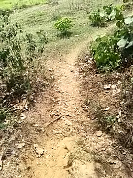 Sheela Sex90 online show from 04-19-26, 06:56